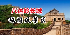 亚洲嫩穴舔中国北京-八达岭长城旅游风景区
