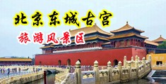强奸空姐的骚逼中国北京-东城古宫旅游风景区